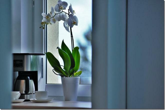 Cozy Base Appartement Gdańsk Buitenkant foto